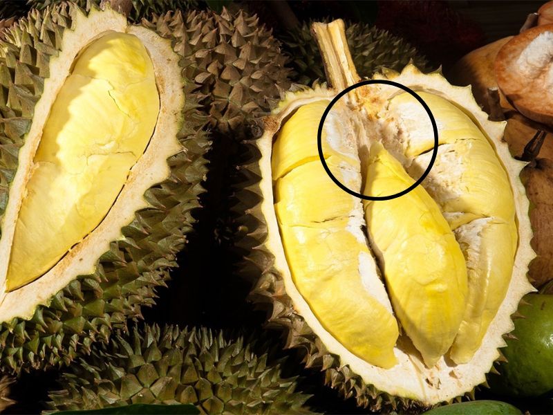 bat-mi-cach-an-sau-rieng-khong-bi-nong