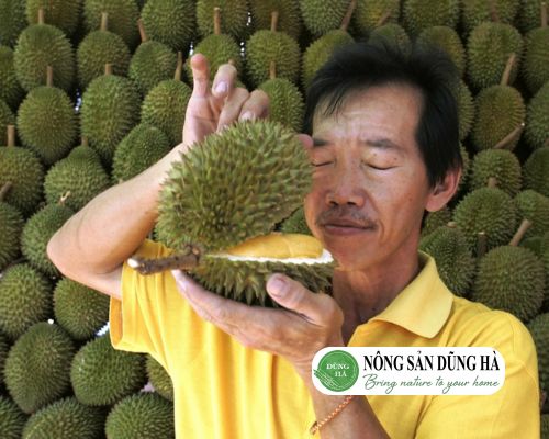 cach-nhan-biet-sau-rieng-chin-bang-huong-thom