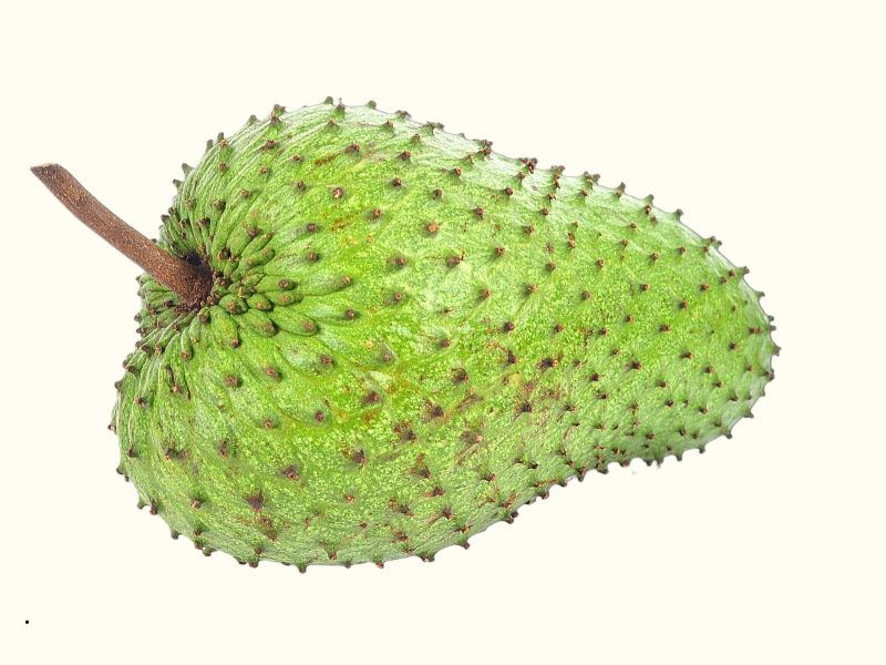 mua-mang-cau-xiem