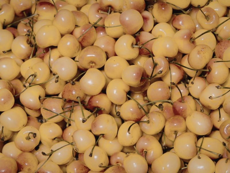 chia-se-cach-ngam-ruou-sen