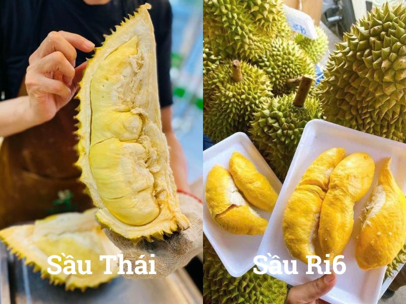 xem-ngay-cach-phan-biet-sau-thai-va-ri6