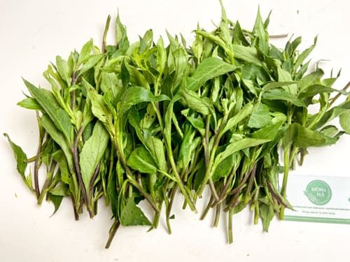 Rau lủi