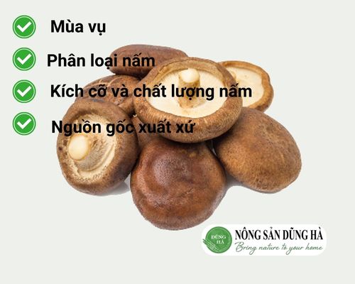 yeu-to-anh-huong-den-gia-nam-dong-co