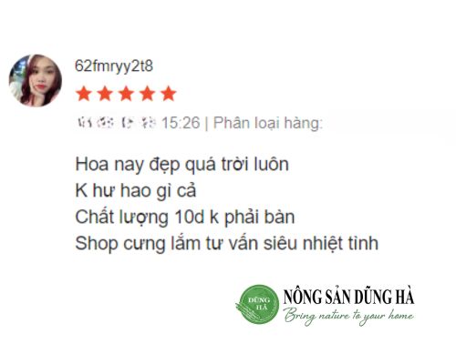 cam-nhan-khach-hang-bong-atiso-tuoi-nong-san-dung-ha