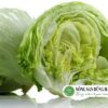 gia-xa-lach-my-iceberg-hom-nay