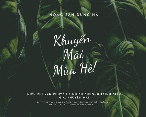khuyen-mai-mua-he