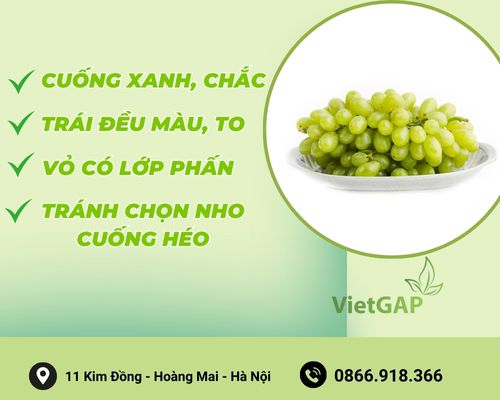meo-chon-mua-nho-xanh-ninh-thuan-tuoi-ngon