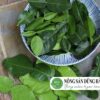 mua-la-chanh-tuoi-o-nong-san-dung-ha-chat-luong-tot