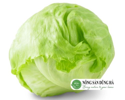 mua-xa-lach-my-iceberg-bao-tien-1kg-hom-nay