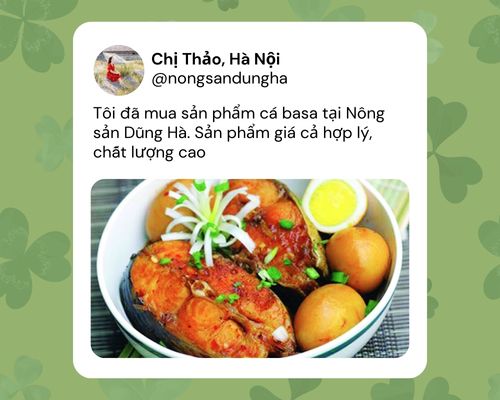 phan-hoi-ca-basa