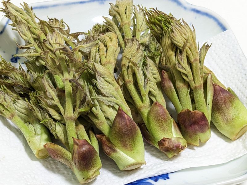 rau-mam-gai-nong-san-dung-ha-uy-tin