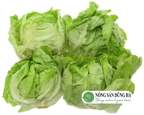 rau-xa-lach-mo-nong-san-dung-ha-gion-ngot