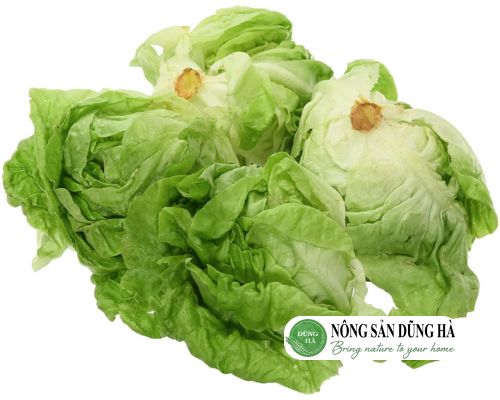 rau-xa-lach-mo-nong-san-dung-ha-thom-ngon
