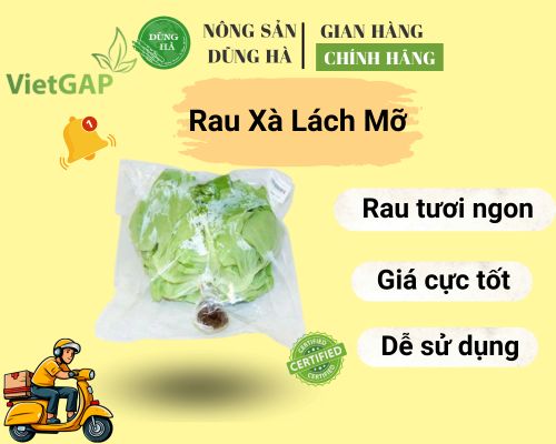 rau-xa-lach-mo-nong-san-dung-ha