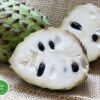 tac-dung-chua-benh-tu-man-cau-xiem