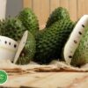 tim-hieu-ve-mang-cau-xiem