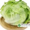 xa-lach-my-iceberg-nong-san-dung-ha