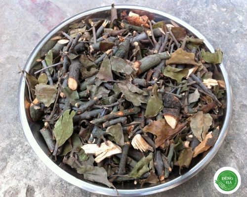 bai-thuoc-tam-gao-gui