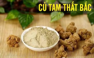 Mua bột tam thất ở đâu Hà Nội? Mua bột tam thất sạch ở đâu Hà Nội?