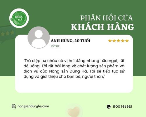 chia-se-ve-tra-diep-ha-chau