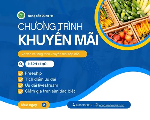chuong-trinh-cua-dung-ha