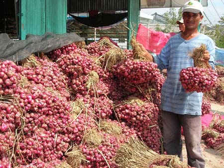 Đại lý thu mua nông sản - Kế hoạch phát triển nông sản trong tương lai dai-li-thu-mua-nong-san