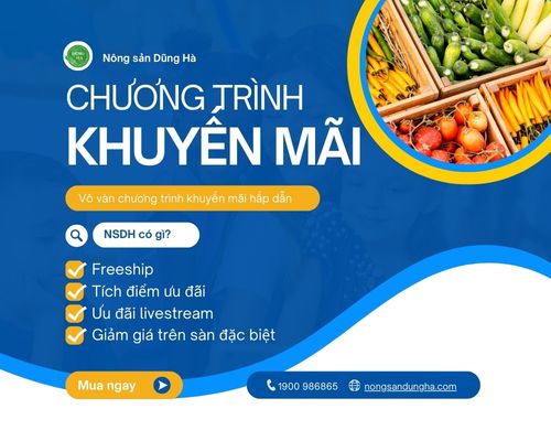 hay-nhanh-chan-mua-hang-tai=nsdh