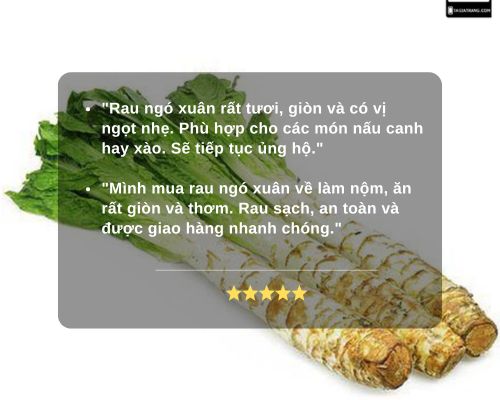khach-hang-phan-hoi-rau-tien-vua