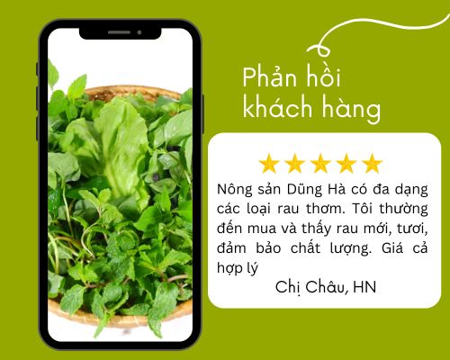 phan-hoi-rau-thom