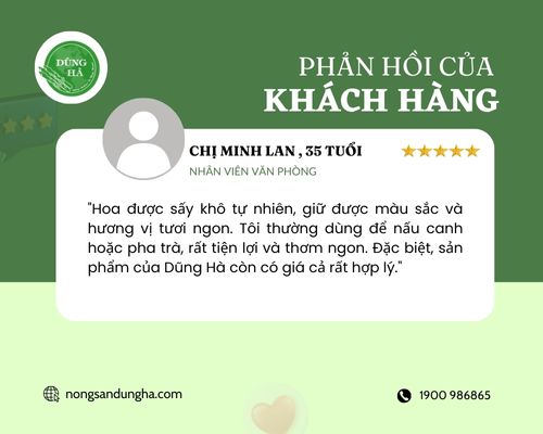 phan-hoi-ve-hoa-atiso