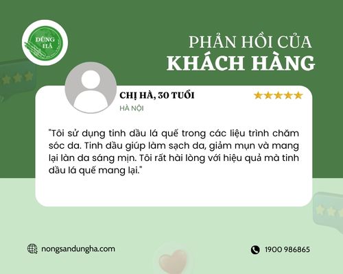 phan-hoi-ve-tinh-dau-la-que