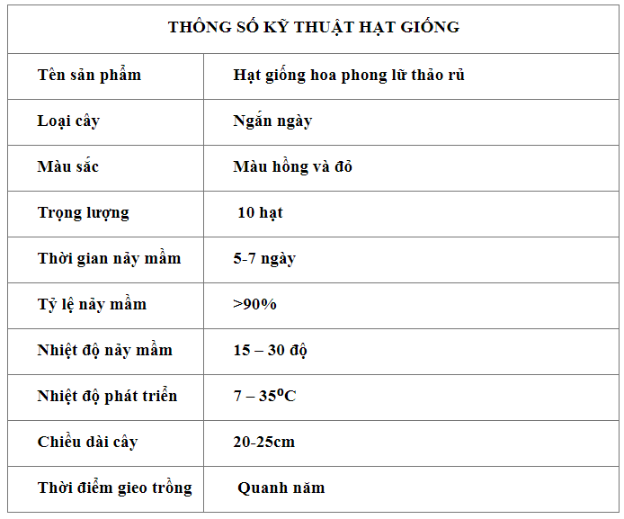 phongluthaoru1