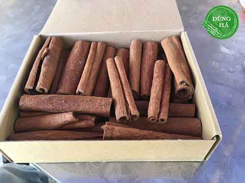 quế ống điếu cuộn tròn xuất khẩu