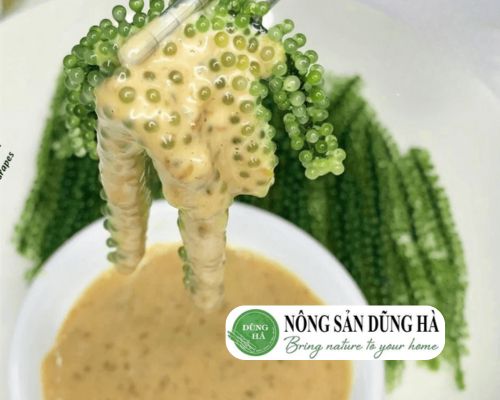 rong-nho-tach-nuoc-la-gi