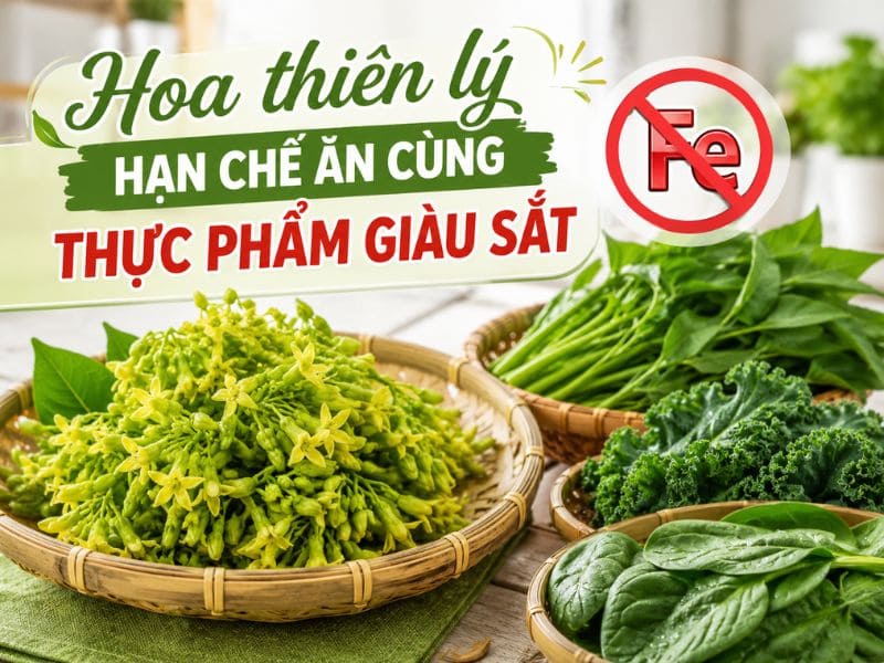 goc-thac-mac-hoa-thien-ly-ky-voi-gi