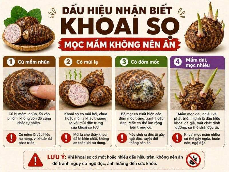 goc-thac-mac-khoai-so-moc-mam-co-an-duoc-khong
