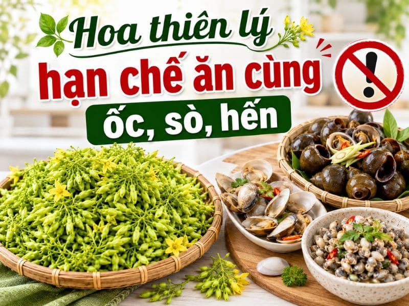 goc-tim-hieu-hoa-thien-ly-ky-voi-gi