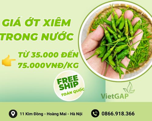 gia-ot-xiem-xanh-trong-nuoc
