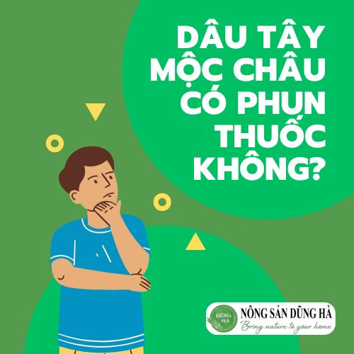 Dau-tay-Moc-Chau-co-phun-thuoc-khong