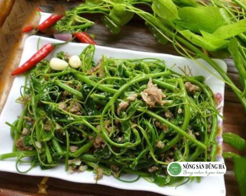 Luu-y-khi-su-dung-rau-don