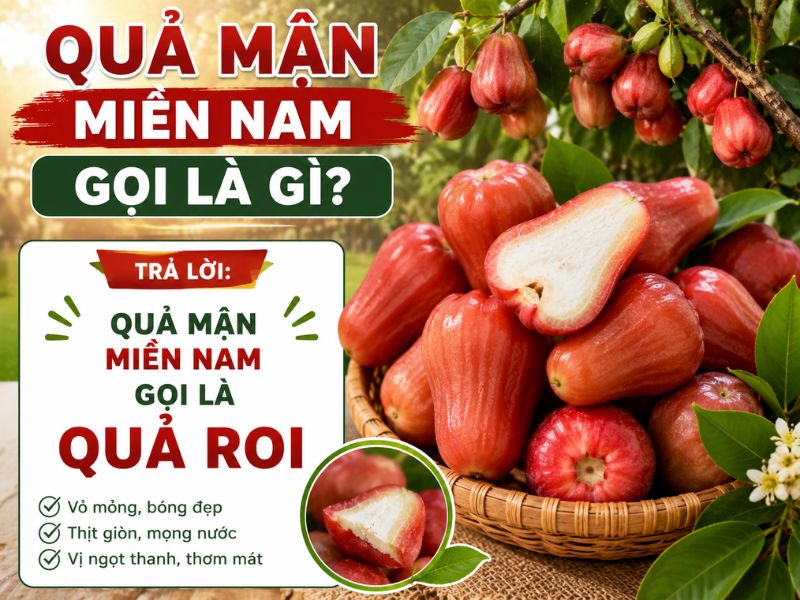 bat-mi-qua-man-mien-nam-goi-la-gi