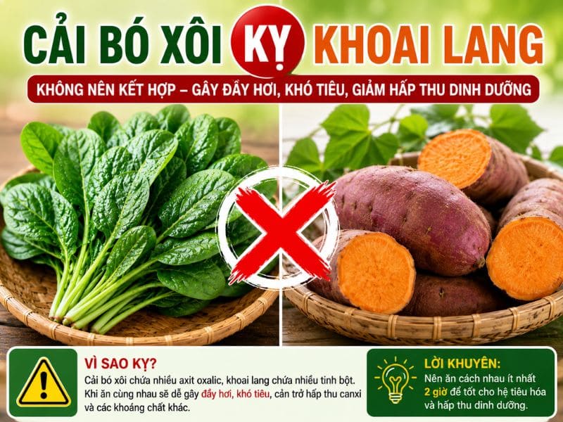 bi-mat-cai-bo-xoi-ky-voi-gi