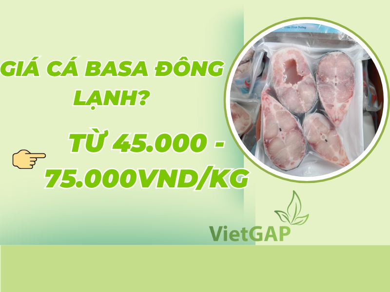 giai-dap-ca-basa-gia-bao-nhieu-1kg