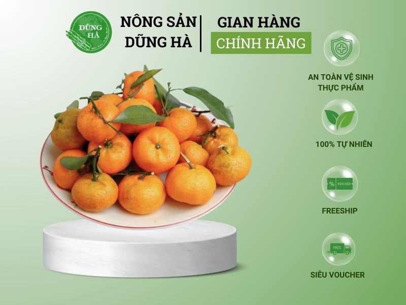 goc-giai-dap-mua-quyt-thang-may-ngon-nhat