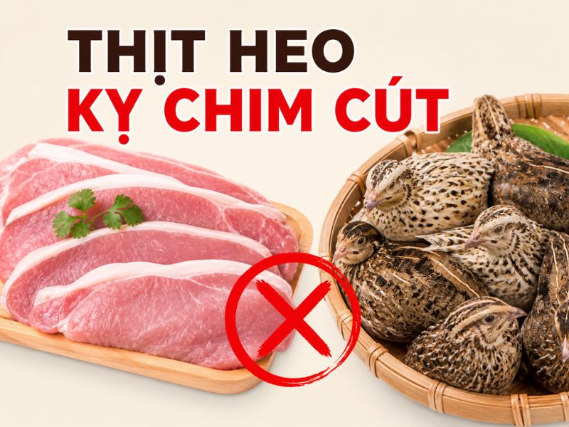 goc-bat-mi-thit-heo-ky-gi