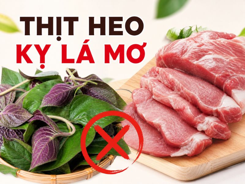 thac-mac-thit-heo-ky-gi