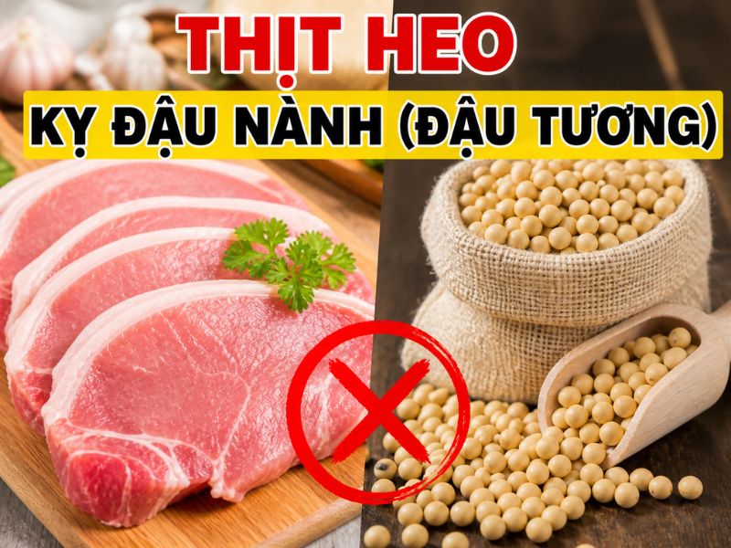 tra-loi-thit-heo-ky-gi