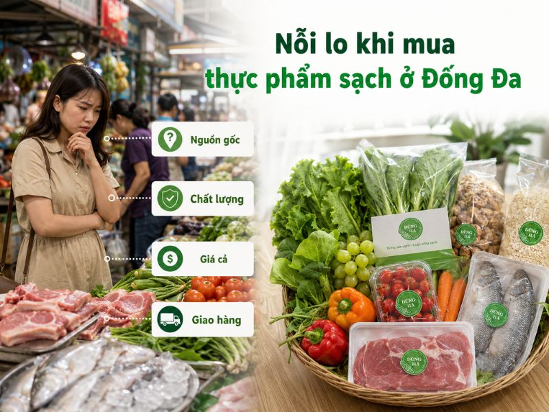 Cung-cap-thuc-pham-sach-o-phuong-Dong-Da-uy-tin