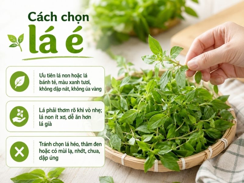 cach-chon-la-e-va-la-e-nau-gi-ngon