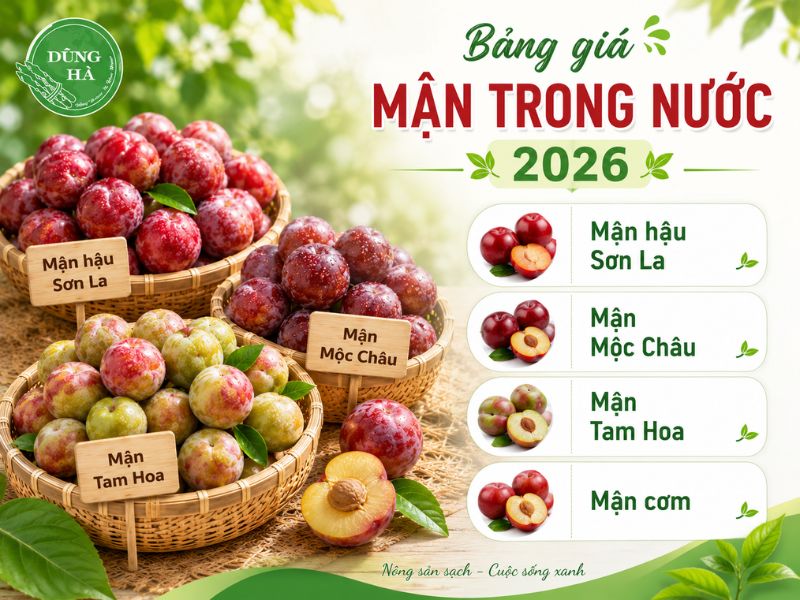 gia-man-hom-nay